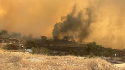 Çanakkale Belediyesi’nden yangından etkilenen hayvanlar için destek çağrısı!