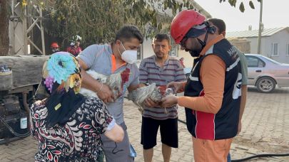 Yangında etkilenen tavukların yardımına ekipler ve gönüllüler koştu