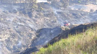 Çanakkale'de yangından etkilenen alanlarda hasar tespit çalışmaları sürüyor