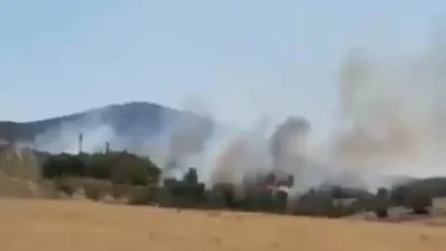 Ayvacık Babadere Köyü’nde yangın başladı