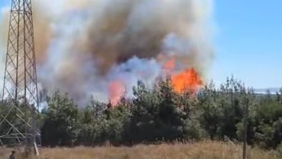 Umurbey’de yangın başladı