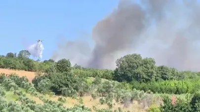 Ayvacık Söğütlü’de çöplük alanda yangın başladı