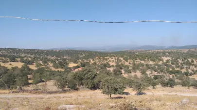 Ayvacık Söğütlü’de çöplük alanda yangın başladı