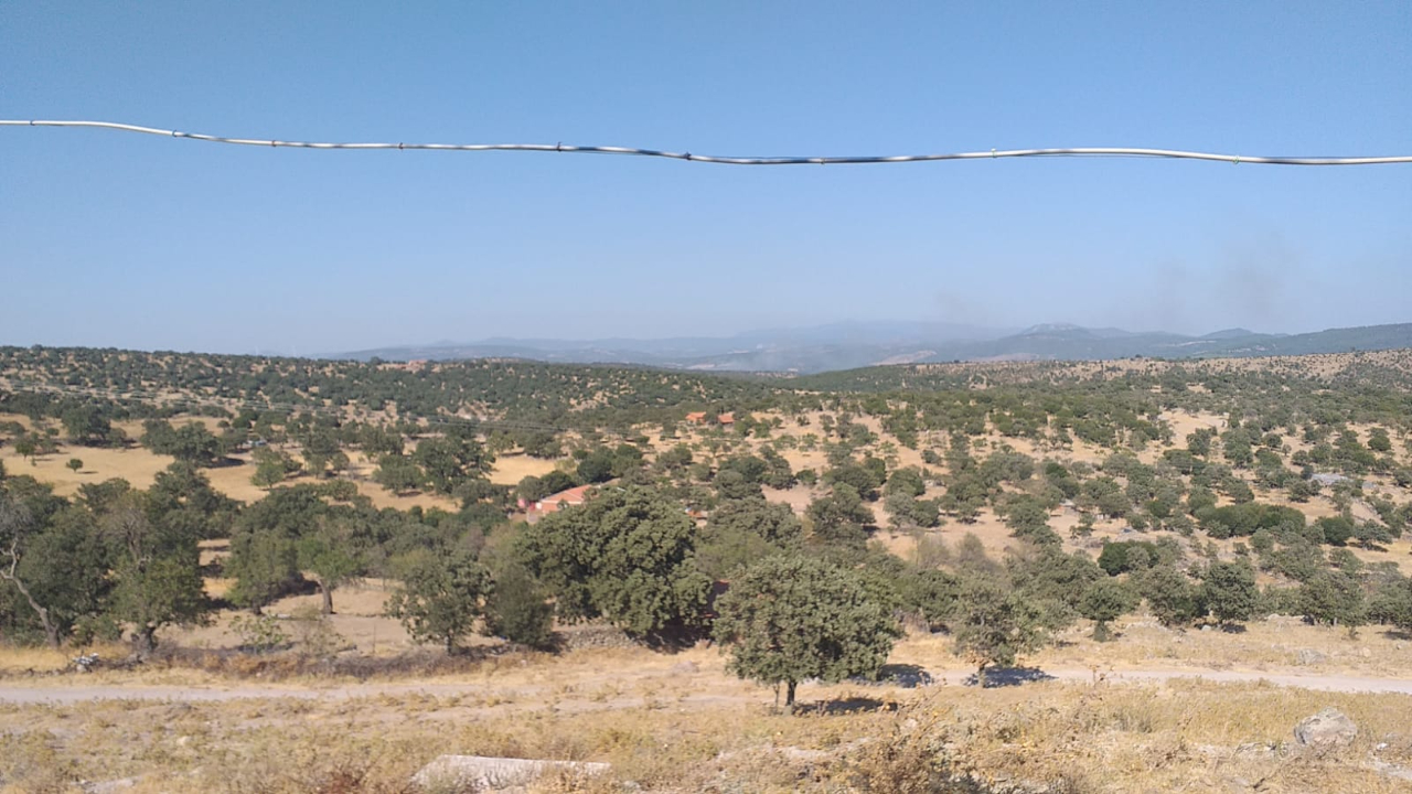 Ayvacık Söğütlü’de çöplük alanda yangın başladı