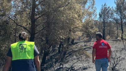 Sarıcaeli’de yangından etkilenen hayvanlar için kurtarma çalışmaları sürüyor