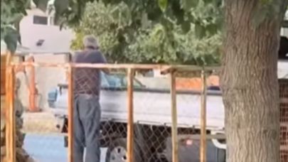 Ezine’de köpeklere ateş eden şahsa para cezası