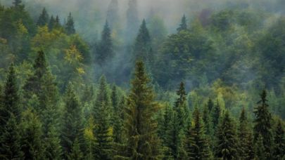 Çanakkale'de kuvvetli rüzgar yangın riskini artırıyor