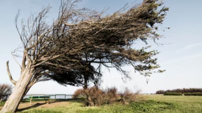 Çanakkale için fırtına uyarısı