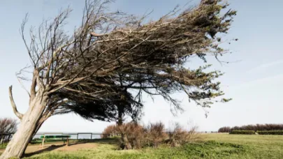 Çanakkale için fırtına uyarısı