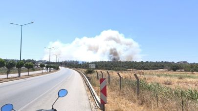 Yangın nedeniyle Güzelyalı'da tahliye başladı