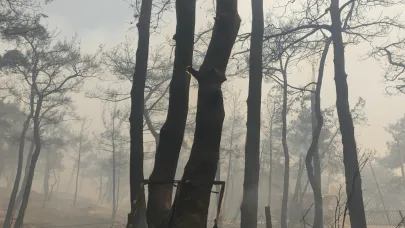 Çanakkale'de devam eden yangında 3 köy boşaltıldı