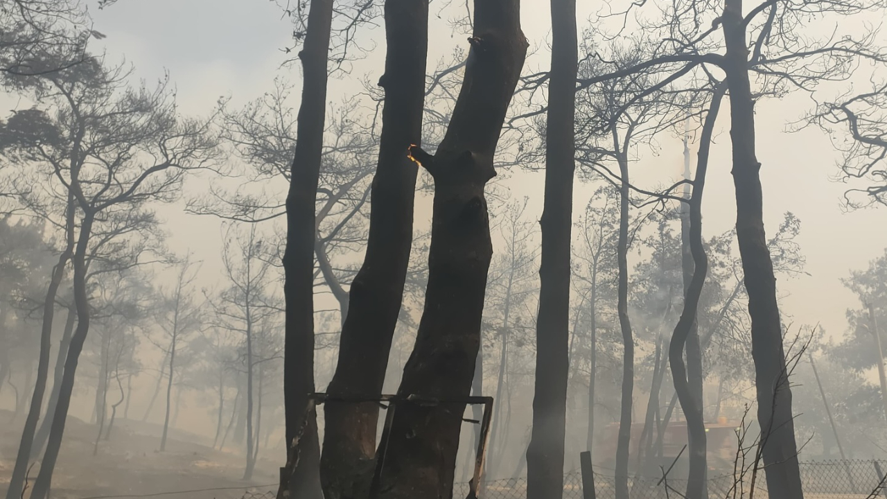 Çanakkale'de devam eden yangında 3 köy boşaltıldı