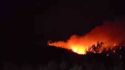Yangın Güzelyalı başında devam ediyor