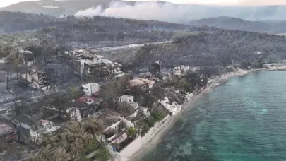 Güzelyalı yangınının bilançosu sabahın ilk ışıklarıyla görüntülendi
