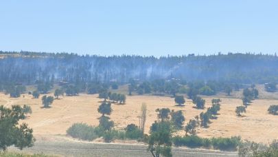 Çanakkale'de yangın büyük ölçüde kontrol altında