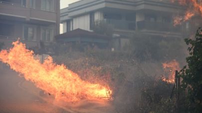 Çanakkale'de yangın tamamen kontrol altında