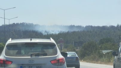 Çanakkale'de kontrol altına alınan yangın yeniden patlak verdi