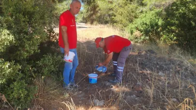 Çanakkale Belediyesi yangın sonrası can dostlar için seferber oldu