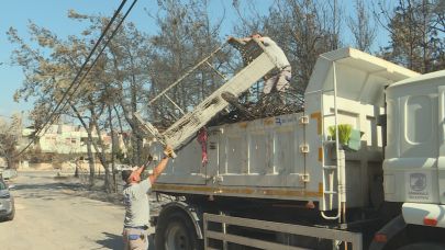 Çanakkale’de Yangın Sonrası Yaralar Sarılıyor