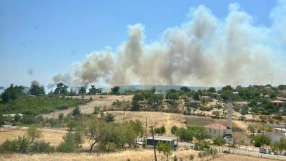 Denizgöründü'de yangın başladı