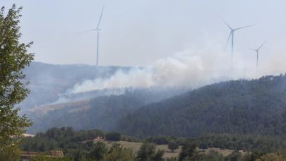 Denizgöründü Köyü'nde yangına müdahale sürüyor