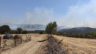 Denizgöründü yangını kontrol altında