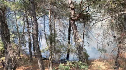 Ayvacık Çaltı Köyde Orman Yangını Başladı