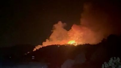 Bayramiç’te Orman Yangını Başladı: Müdahale Başlatıldı