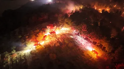 Çanakkale Bayramiç’te Orman Yangını Kontrol Altında