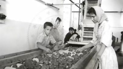 Kepez Konserve Fabrikası: Dayanışmanın ve Azmin Hikayesi