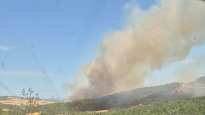 Gelibolu'da yangına havadan karadan müdahale sürüyor