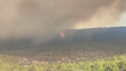 Gelibolu'da yangın hızla büyüyor