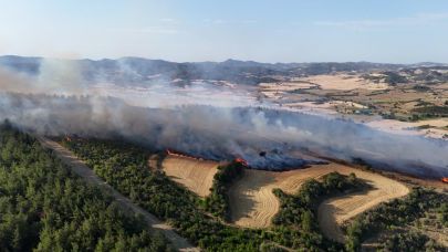 Gelibolu'da çıkan orman yangını dron ile görüntülendi
