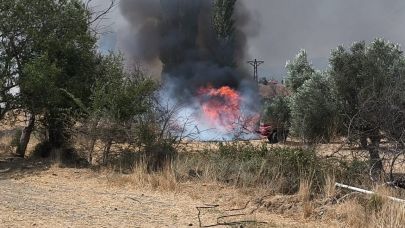 Gelibolu’daki orman yangınına 1300 personelle müdahale