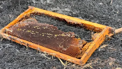Çanakkale’de arı kovanları yangında kül oldu