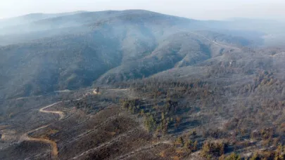 Gelibolu'da yanan yerler dronla görüntülendi