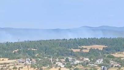 Gelibolu'da yangın kontrol altına alındı