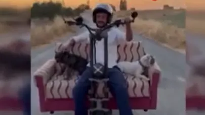 Scooterına koltuk monte edip köpekleriyle yolculuğa çıktı