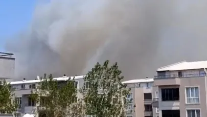 Bursa Nilüfer’de Orman Yangını! Ekipler Müdahale Ediyor