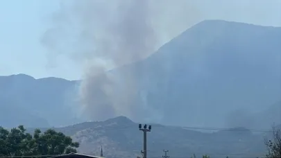 Makilik alanda çıkan yangın ormana sıçradı