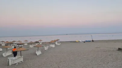 Çanakkale Valiliği’nden Kabatepe’deki sahipsiz köpekler için açıklama