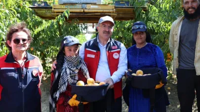 Çanakkale şeftalide 2’nci, nektarinde 3’üncü sırada