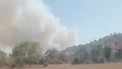 Gelibolu Ilgardere yangınına müdahale sürüyor