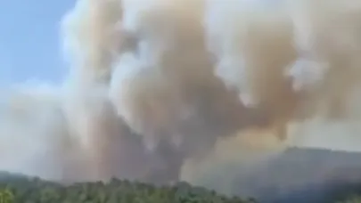 Gelibolu Ilgardere yangınına müdahale güçlendirildi