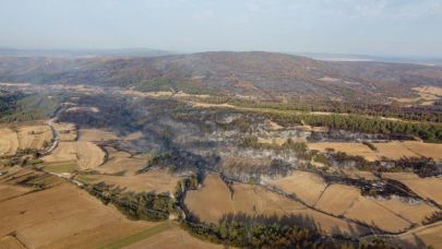 Gelibolu'da çıkan orman yangınının verdiği tahribat dron ile görüntülendi
