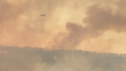 Gelibolu’daki orman yangını kontrol altına alındı