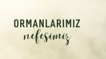 Eceabat Belediyesi’nden vatandaşlara önemli uyarı: Yangın ihbarlarında dikkatli olun