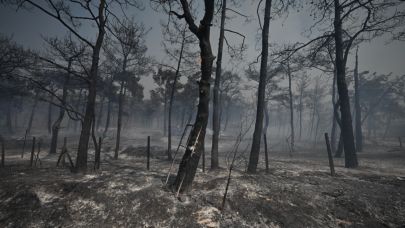 OPET ve gönüllüler yangınlardan etkilenen Çanakkale ormanlarını temizleyecek
