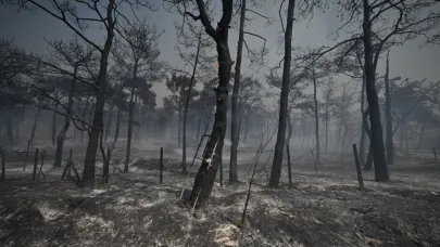 OPET ve gönüllüler yangınlardan etkilenen Çanakkale ormanlarını temizleyecek