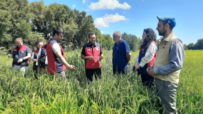 Çanakkale’de “Damlaya Damlaya Çeltik Olur” İncelemesi